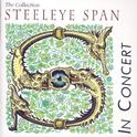 The Collection - Steeleye Span in Concert专辑