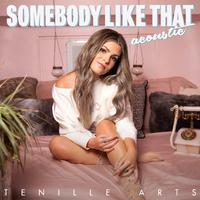 Somebody Like That - Tenille Arts (Karaoke Version) 带和声伴奏