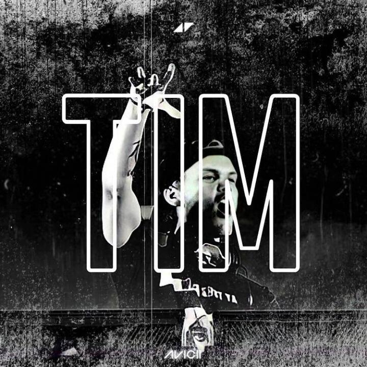 Fade Into Someone Like You (Avicii Remix)