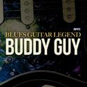 Blues Guitar Legend专辑