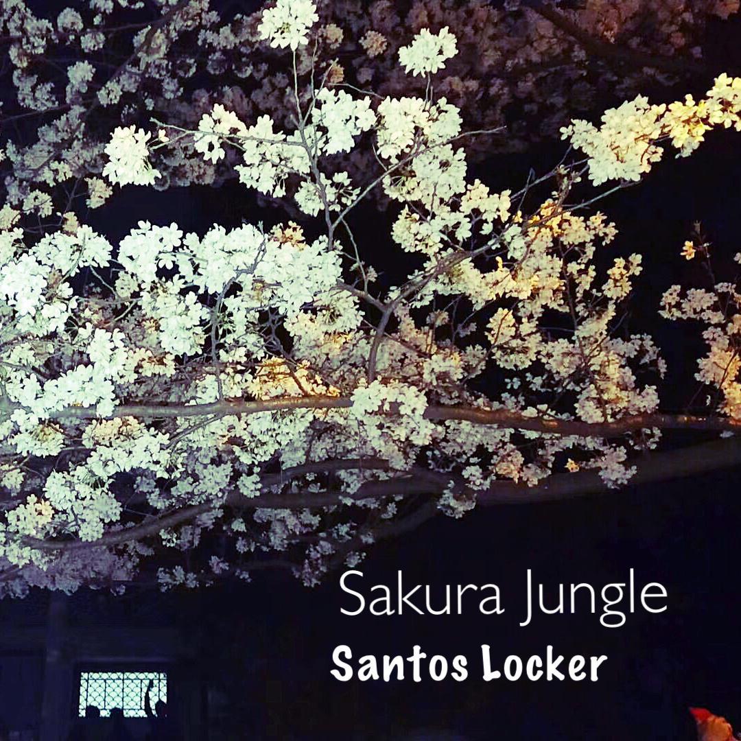 Sakura Jungle专辑