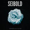 Seibold - Ain't It Amazing