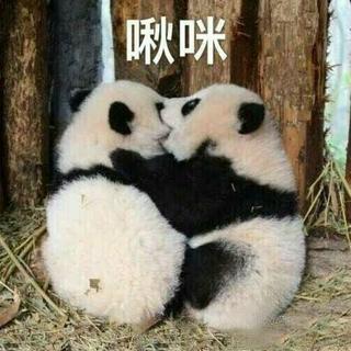 想和你一起听的民谣