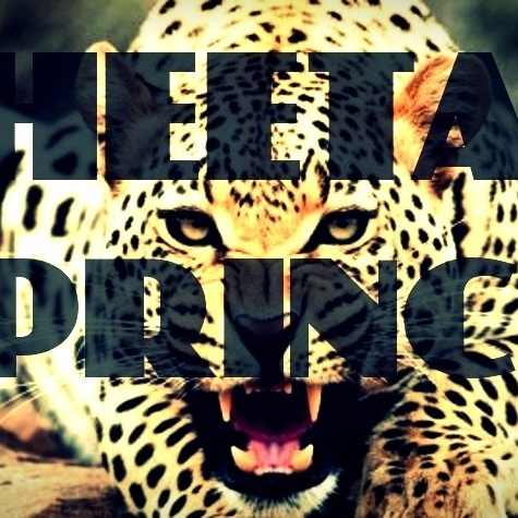 Cheetah Prince(Prints)