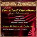 Gran concerto di capodanno (Großes neujahrskonzert)专辑