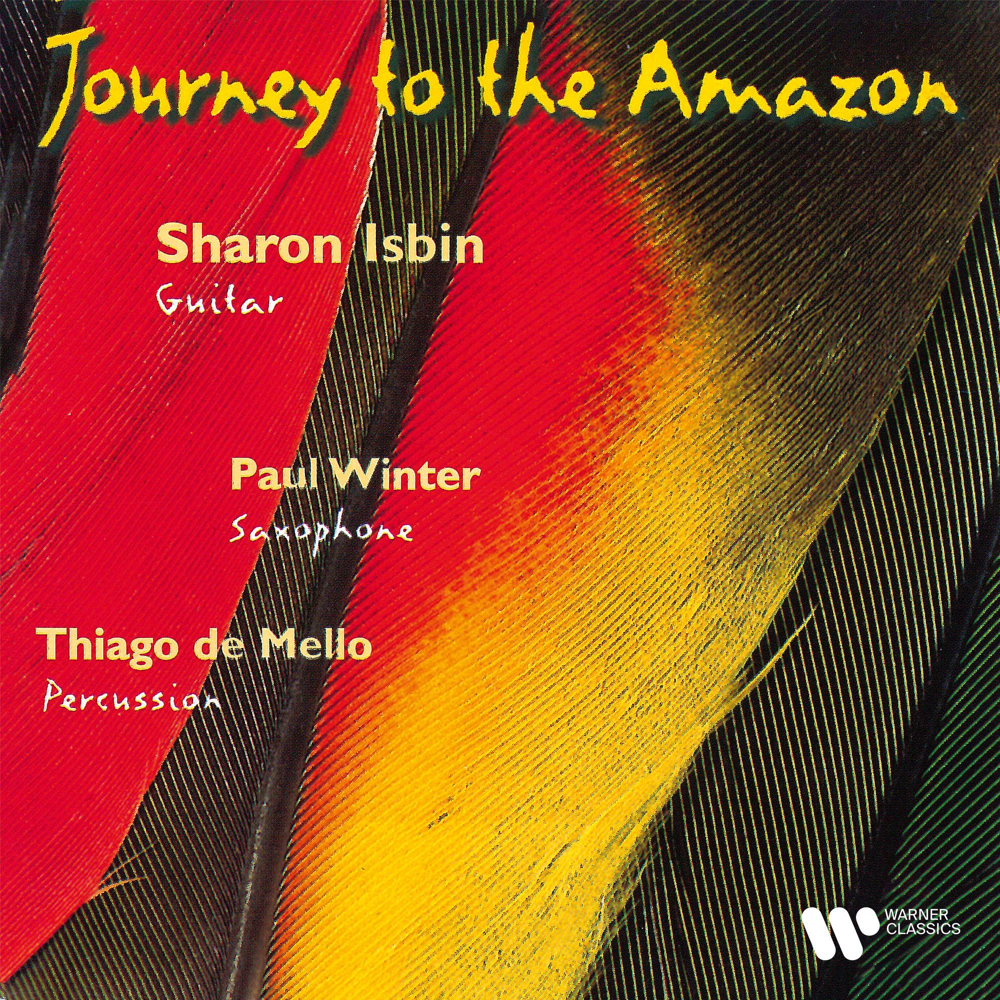 Journey to the Amazon
