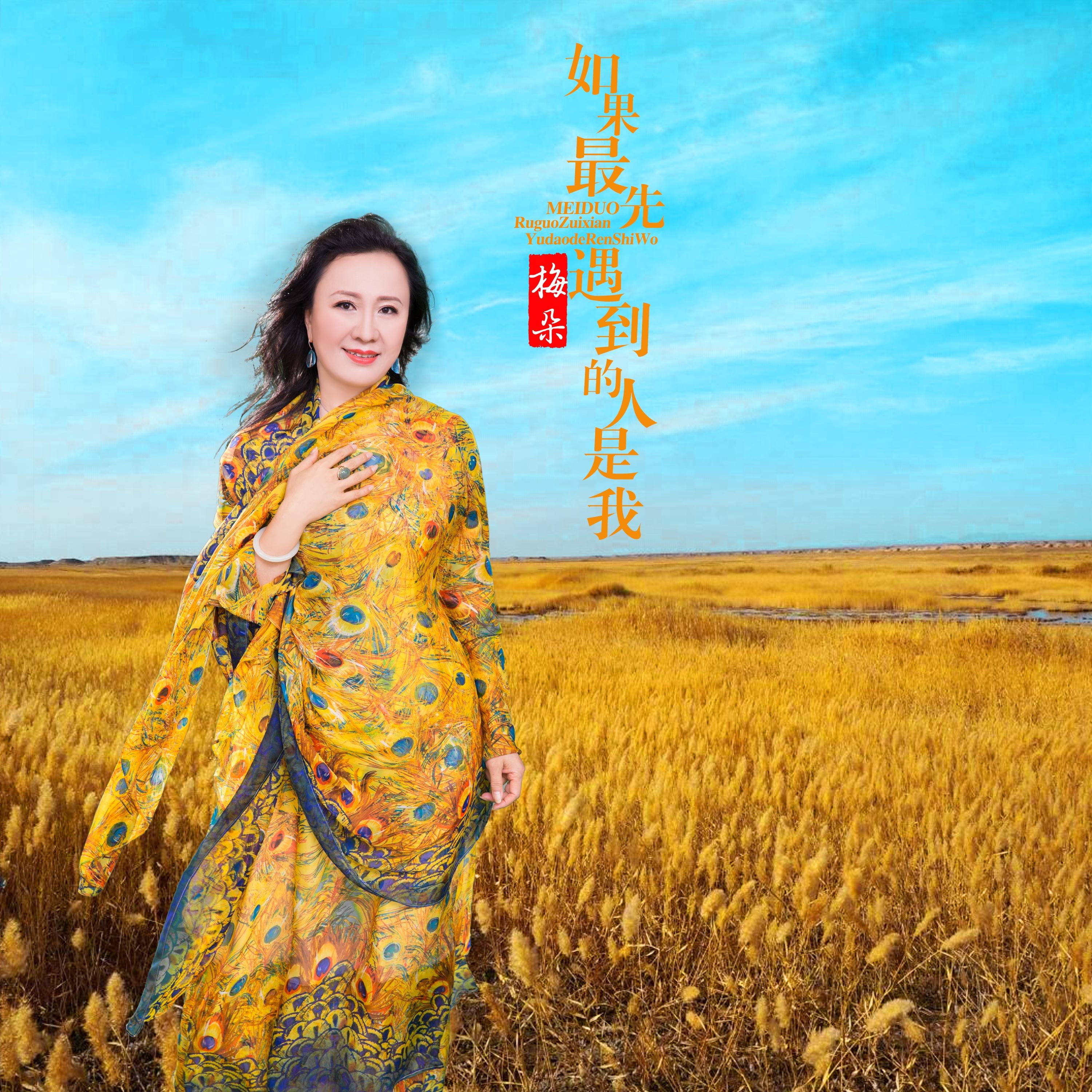 如果最先遇到的人是我 - 梅朵 - 单曲 - 网易云音乐