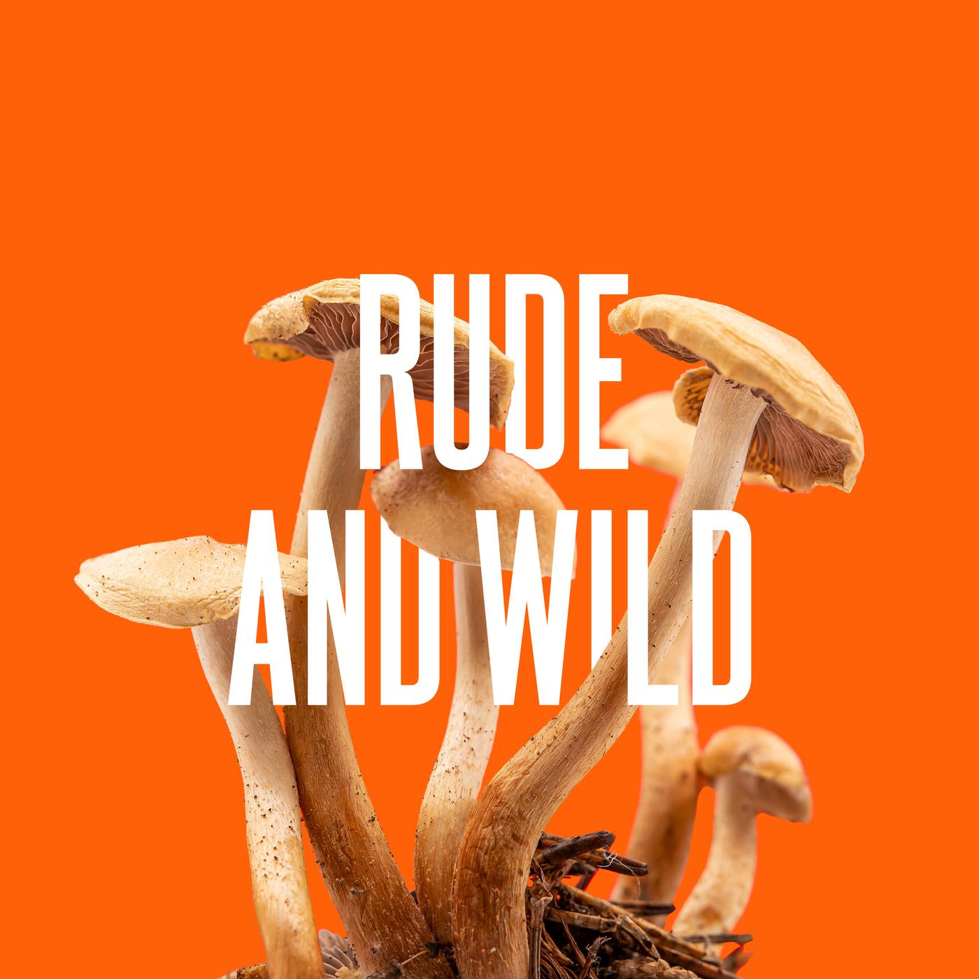 Rude And Wild
