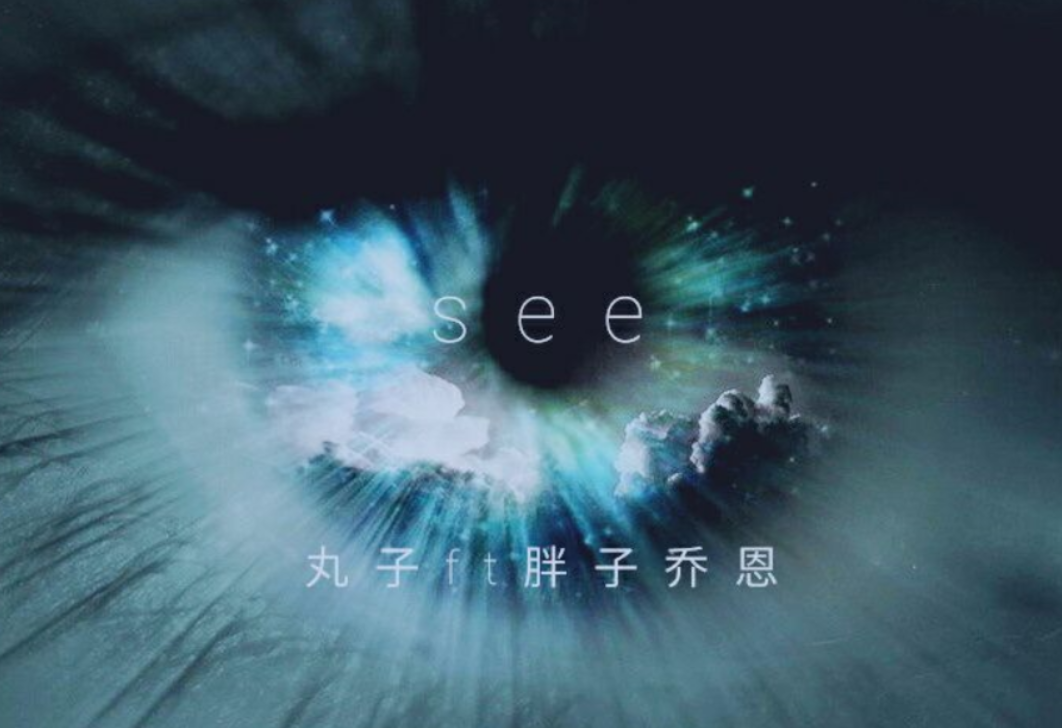 SEE专辑