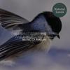 Cozy Nature Soothing Music Library - Ancient Blue Jay