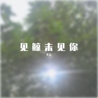 路勇 - 你如时光(伴奏).mp3