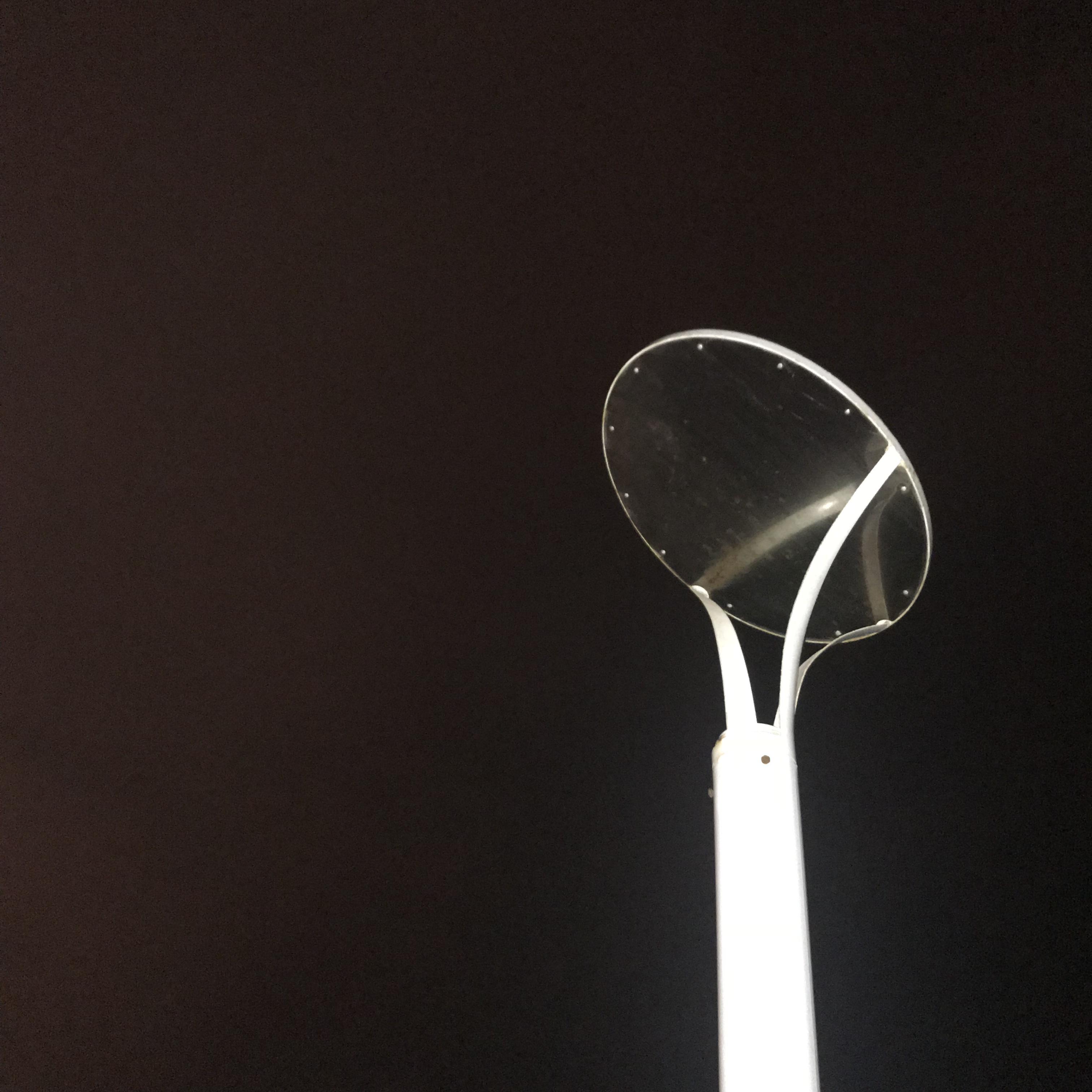 古琴排名_古琴图片唯美(2)