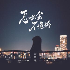 苏星婕 - 怎么会不遗憾(伴奏) （降2半音）