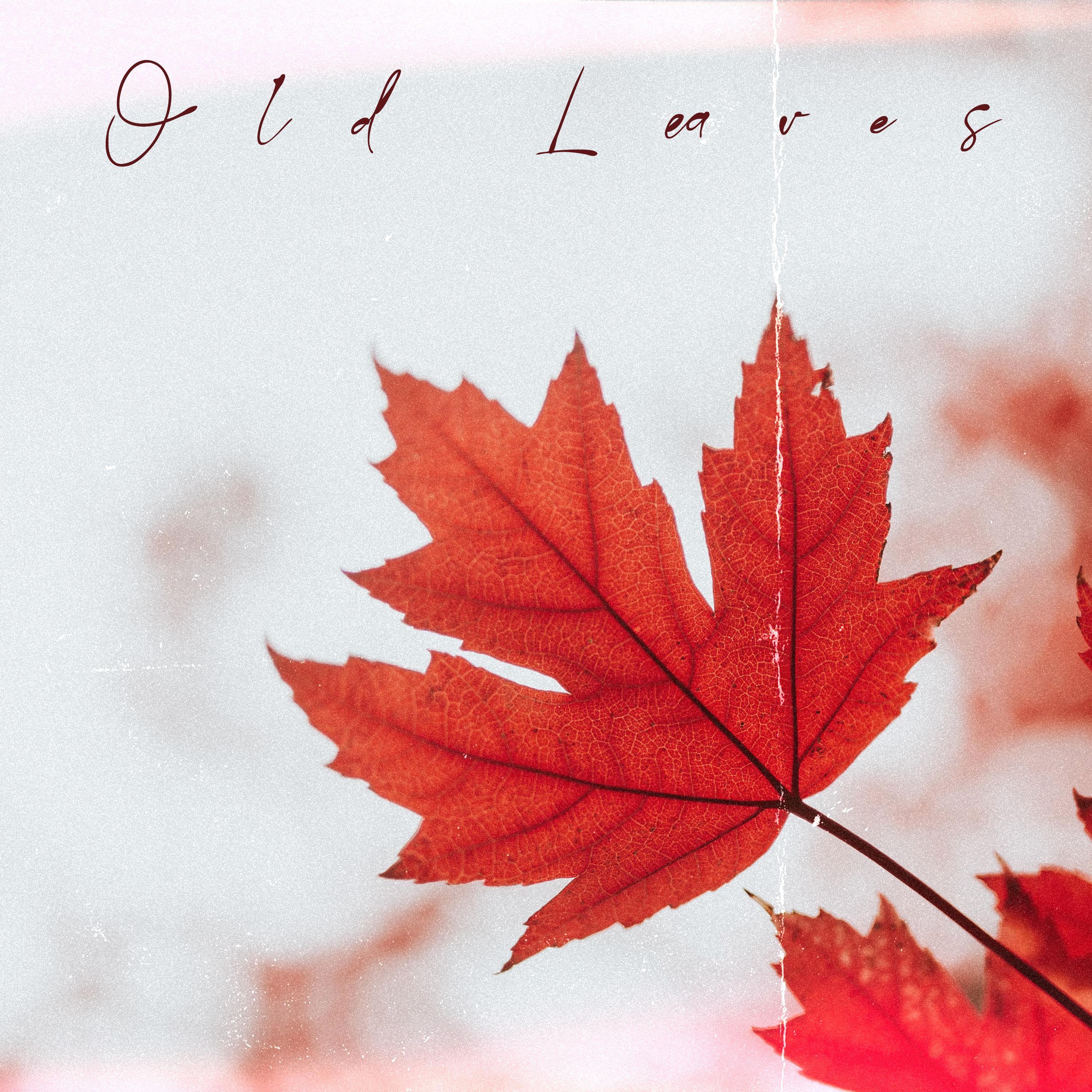 Old Leaves
