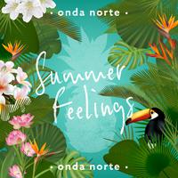 Summer Feelings - Lennon Stella & Charlie Puth (VS Instrumental) 无和声伴奏