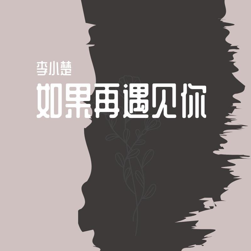 如果再遇见你