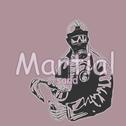 【China】Martial arts circles专辑