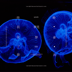 昨晚我梦见我学会了游泳