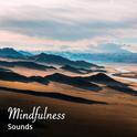 #13 Mindfulness Sounds for Meditation and Yoga专辑