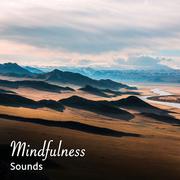 #13 Mindfulness Sounds for Meditation and Yoga