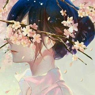 音阙诗听——二十四节气