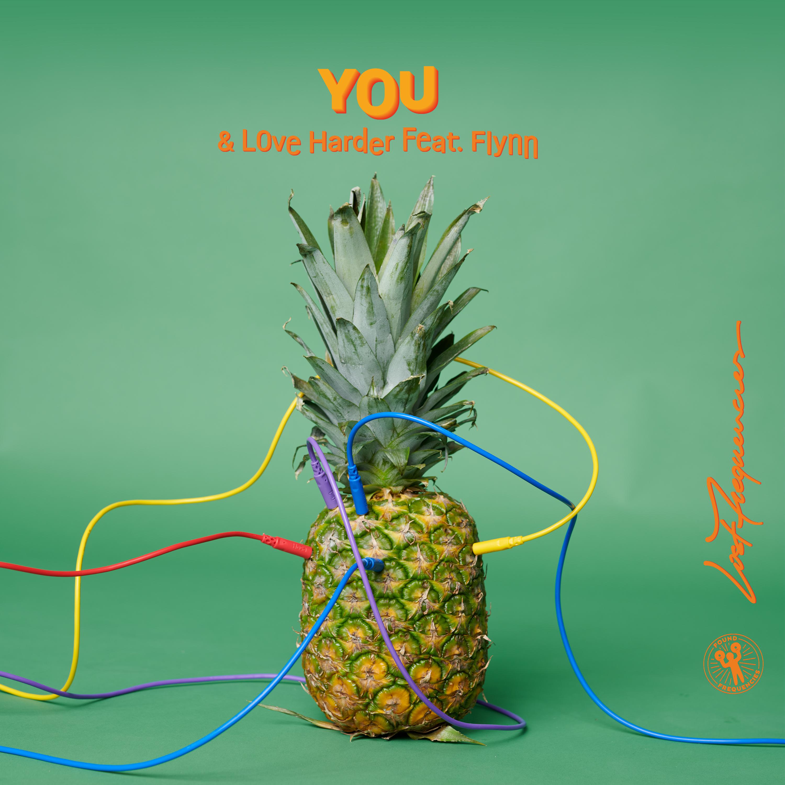 Lost Frequencies - You (Deluxe Extended Mix)