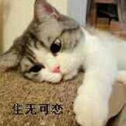 ❉达拉崩吧之丧心病狂绕口令版❉
