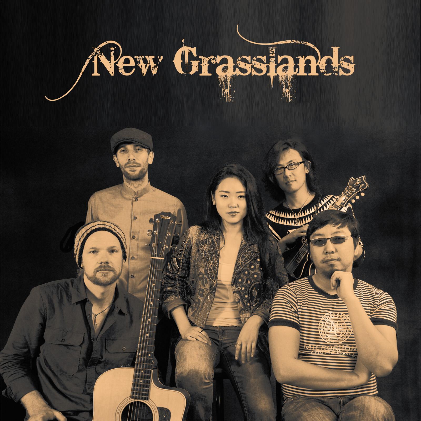 NEW GRASSLANDS