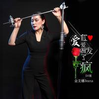 金艾娜 - 爱你爱得发了疯(原版立体声伴奏)