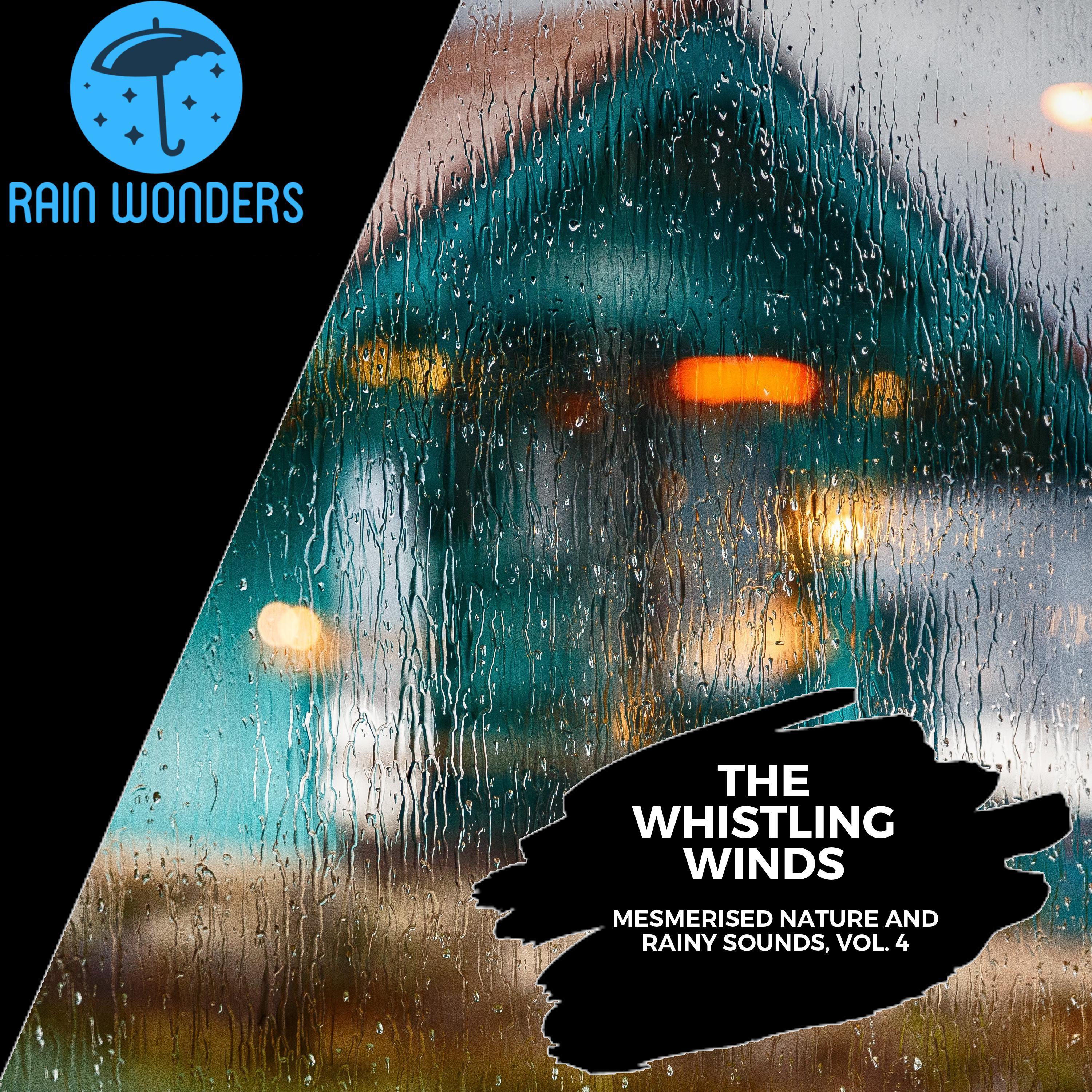 Window Rains Music Library - Quick Rain Dripping