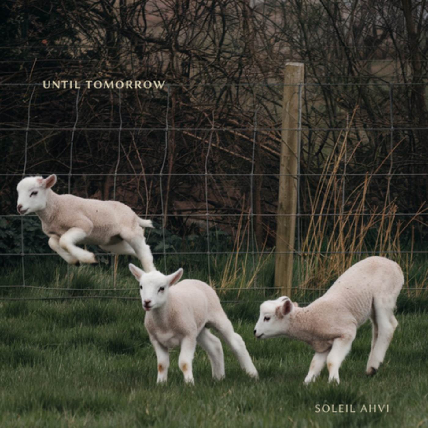 I Was Born to Tell Stories