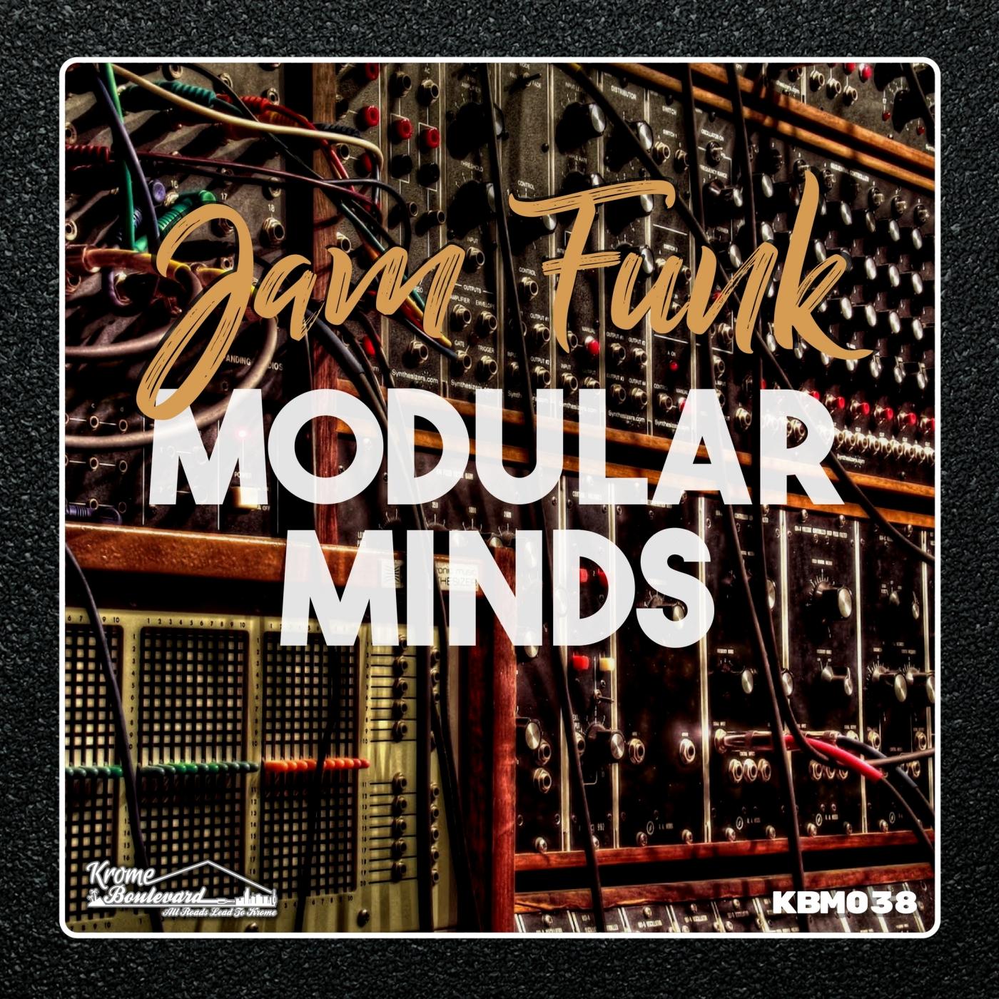 Modular Minds
