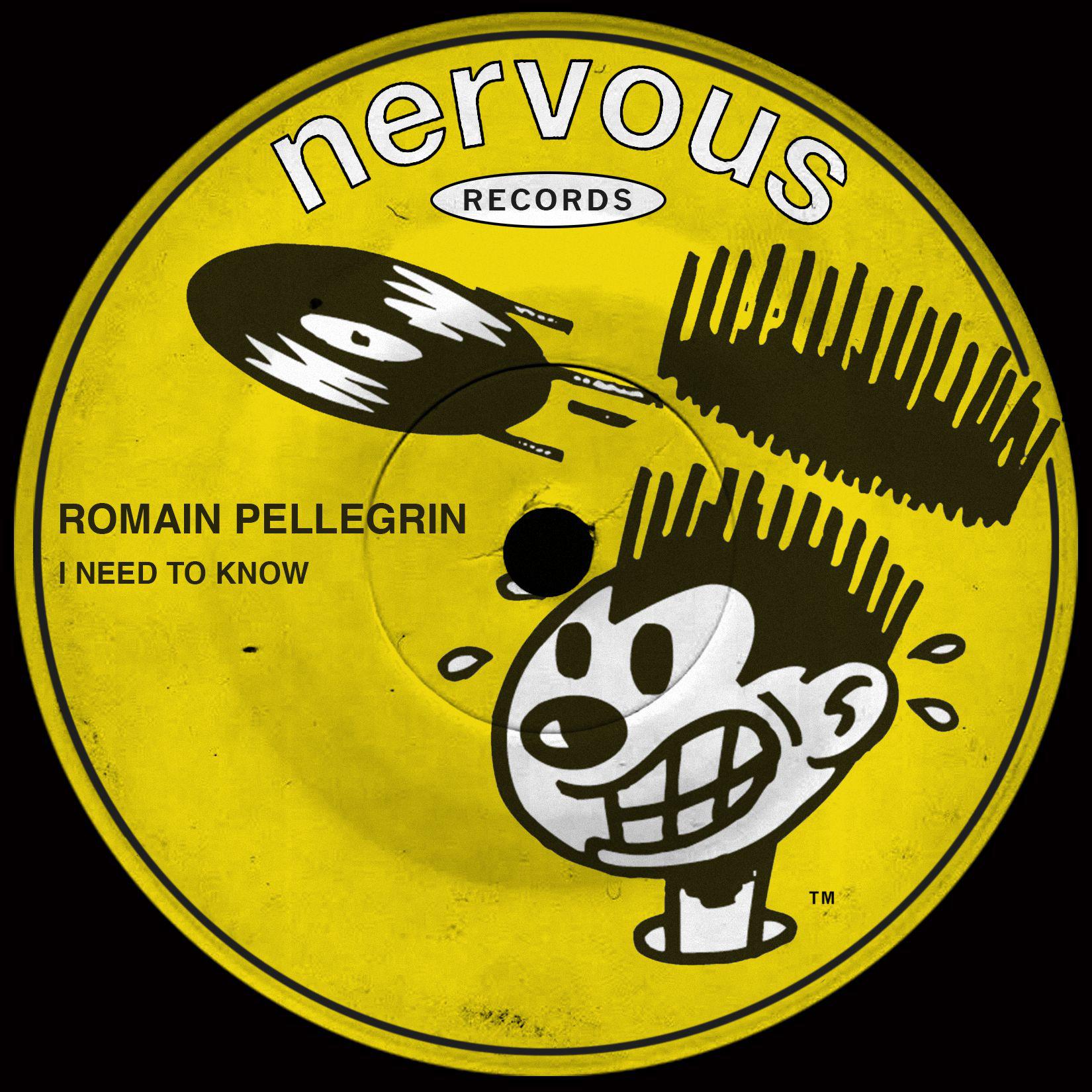 Romain Pellegrin - I Need To Know