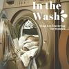 Evan Lee - In the Wash