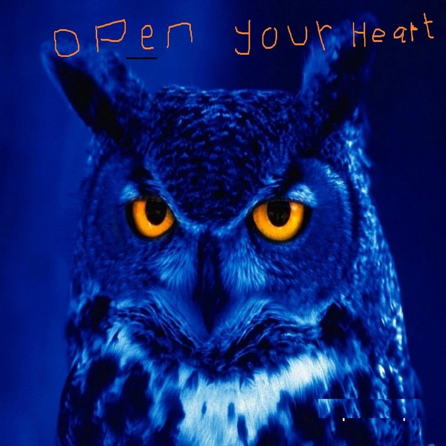 Open Your Heart专辑