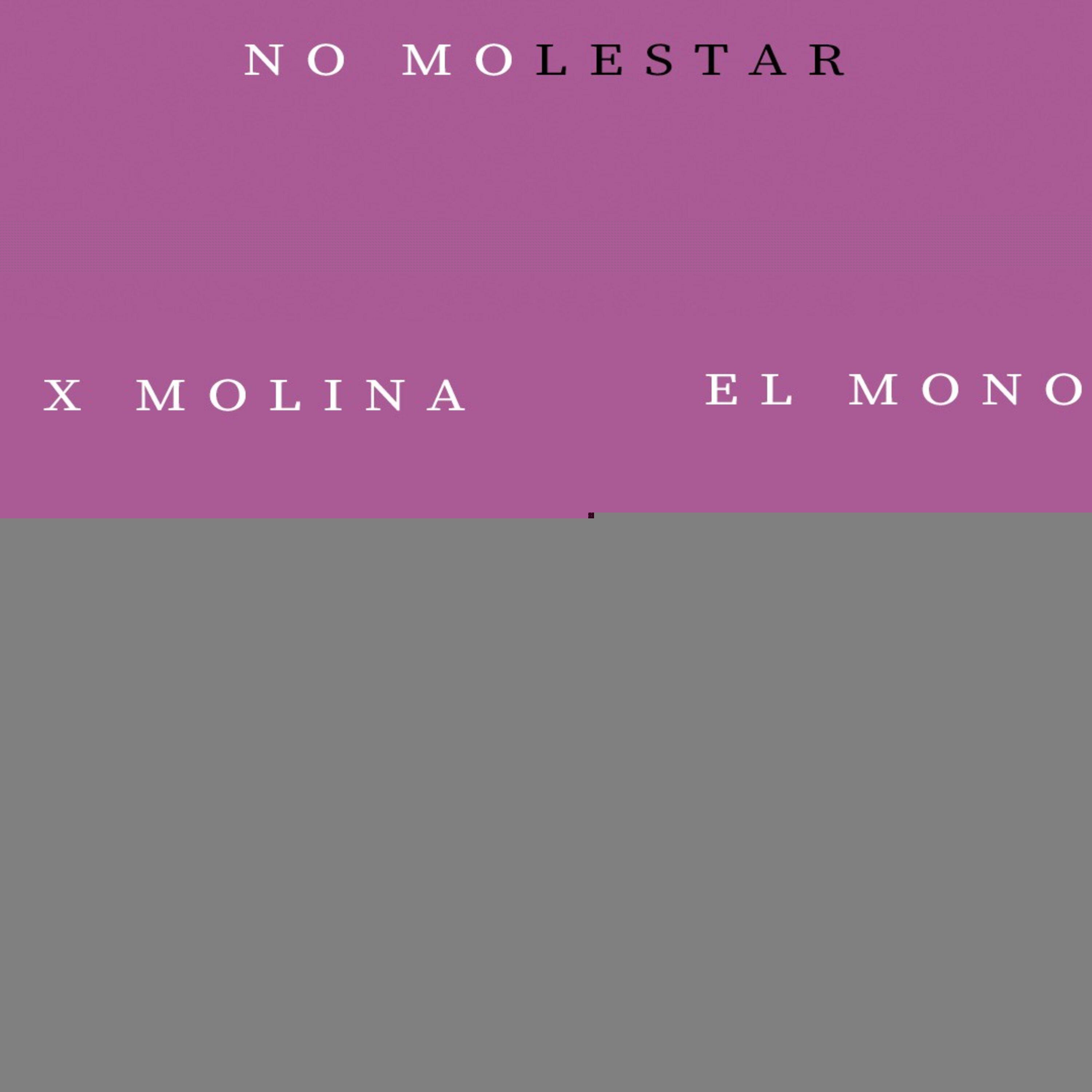 No Molestar