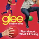 Flashdance (What A Feeling) (Glee Cast Version)专辑