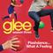 Flashdance (What A Feeling) (Glee Cast Version)专辑