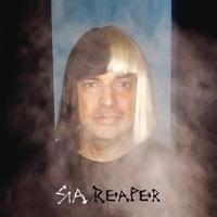 Sia - Reaper (piano Version)