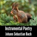 Instrumental Poetry: Johann Sebastian Bach