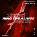 Ring The Alarm (Remixes)专辑