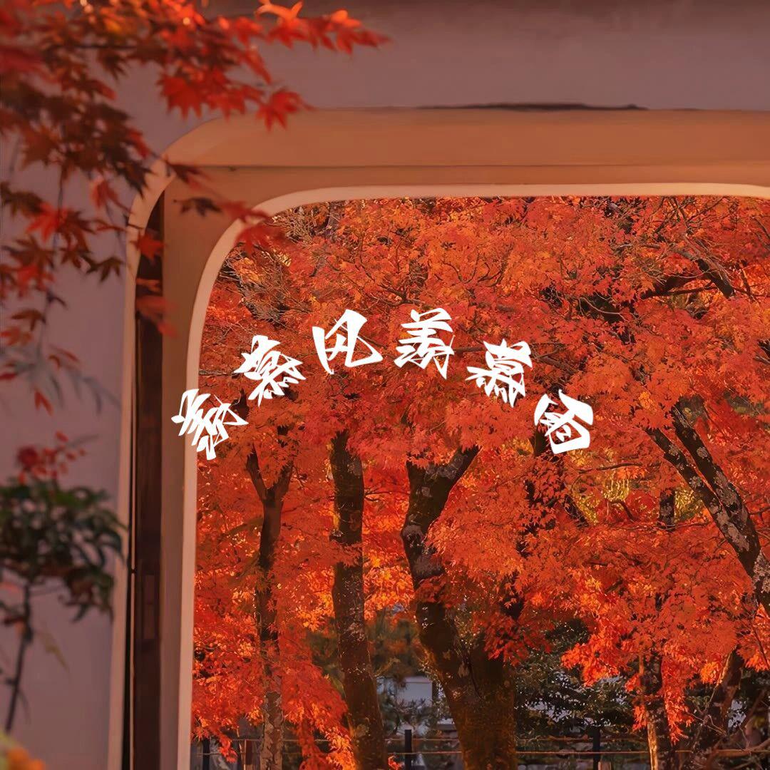 羡慕风羡慕雨
