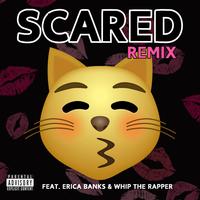 Beatking, Erica Banks, & Whip The Rapper - Scared Remix