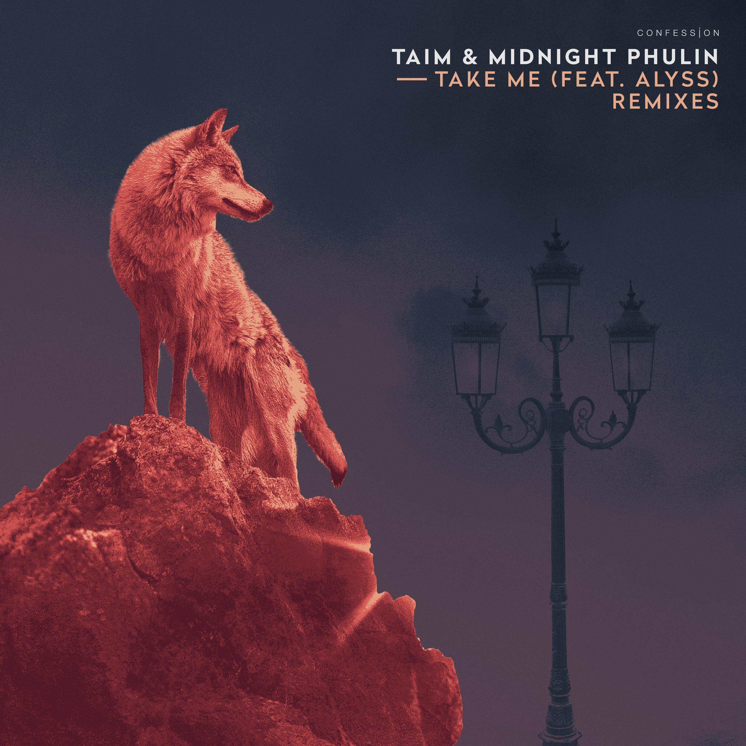 Take Me  [Remixes]