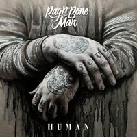 Human - Rag'n'Bone Man (PT Instrumental) 无和声伴奏