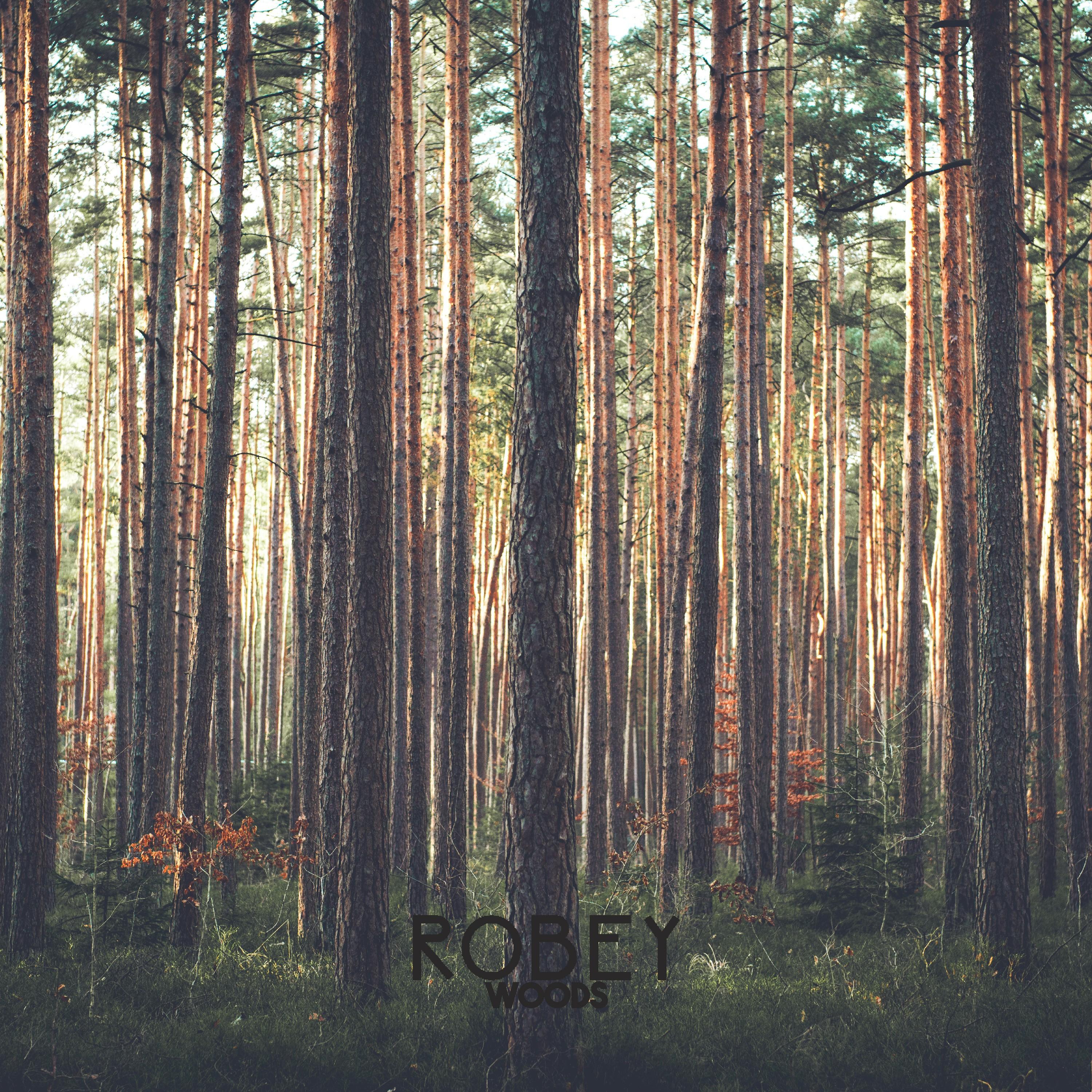Woods