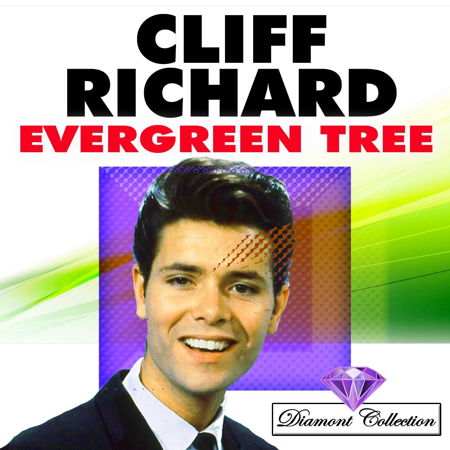 Evergreen Tree