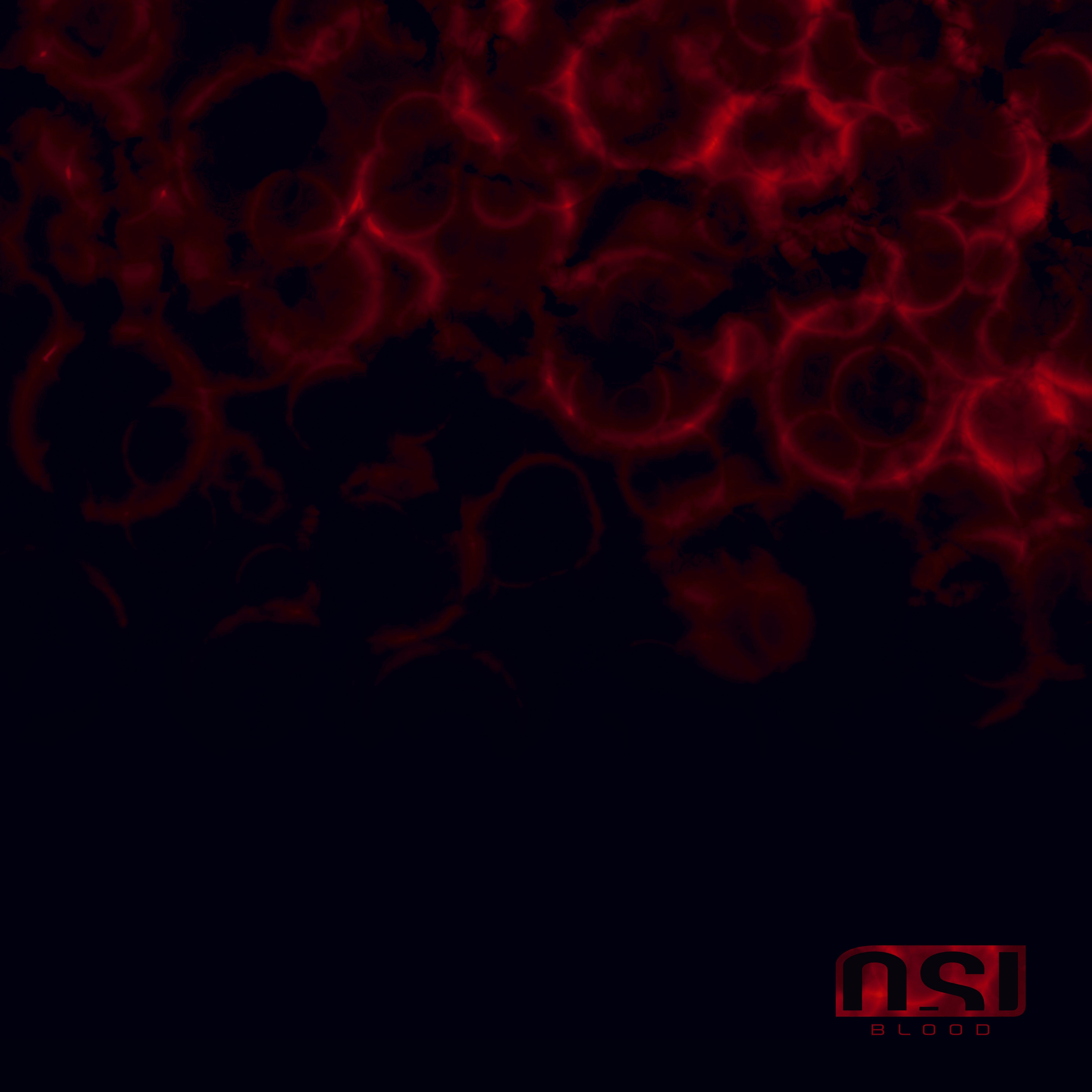 Blood