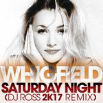 Saturday Night (DJ Ross 2K17 Remix)专辑
