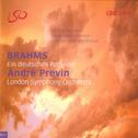 Brahms: Ein deutches Requiem专辑
